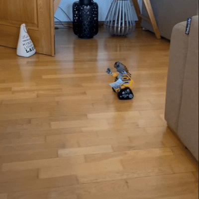 Wall-E Remote Control Lego